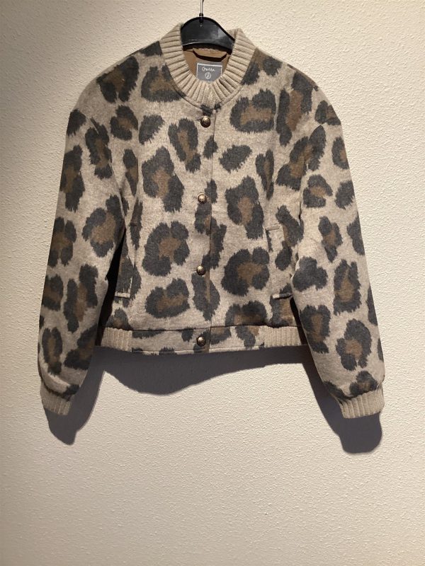 Geisha bomber